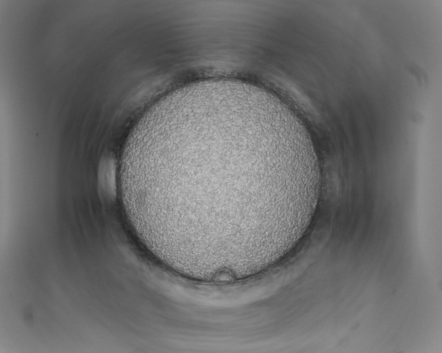 X0000111450022200907271240