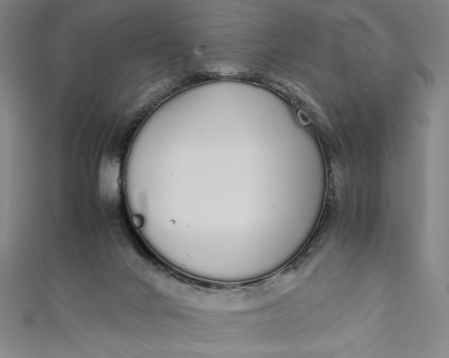 X0000111450024200907271240