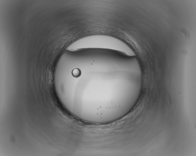 X0000111450025200907271240