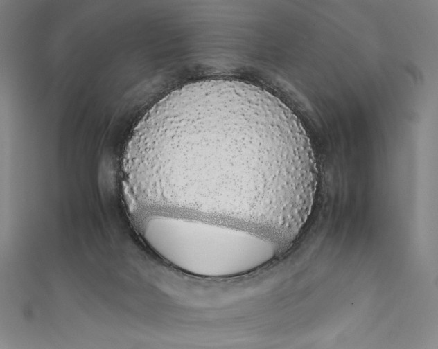 X0000111450026200907271240