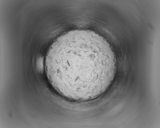 X0000111450028200907271240