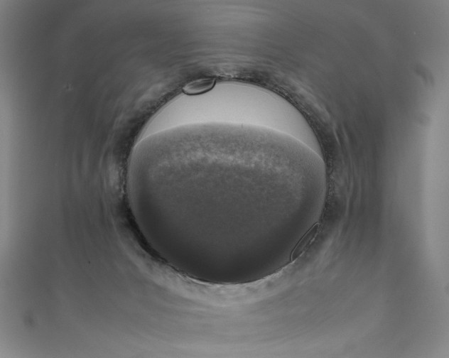 X0000111450031200907271240
