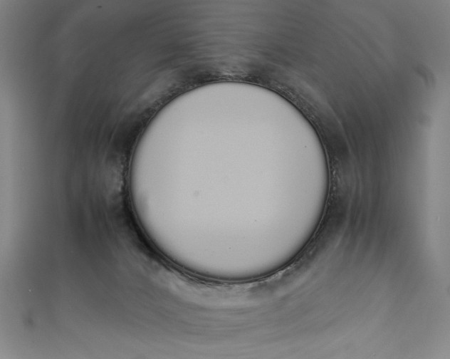 X0000111450032200907271240