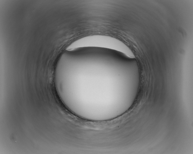 X0000111450033200907271240