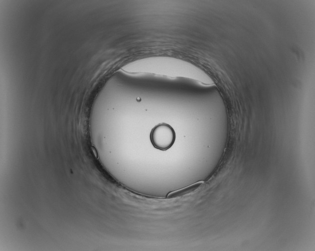 X0000111450035200907271240