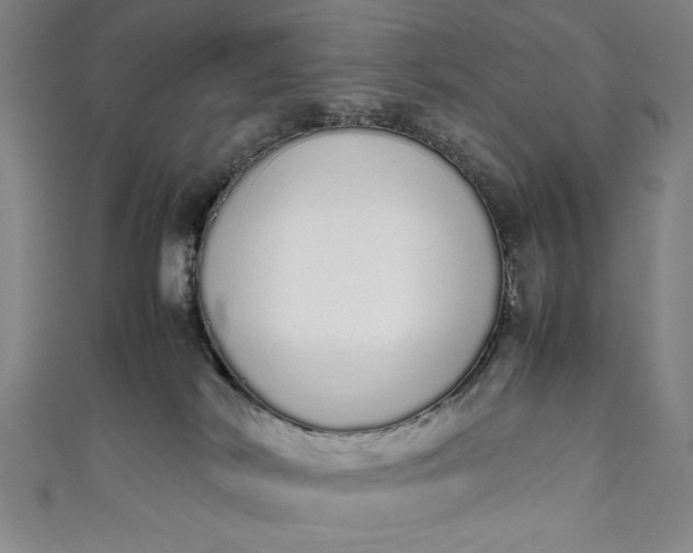 X0000111450038200907271240