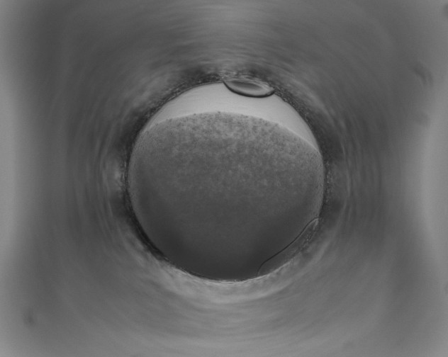 X0000111450039200907271240