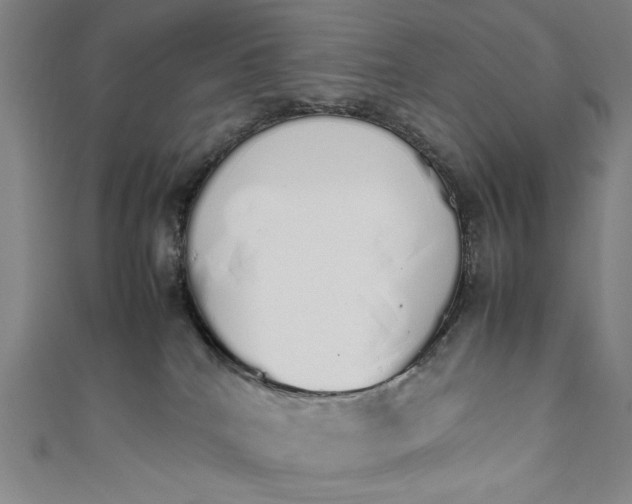 X0000111450040200907271240