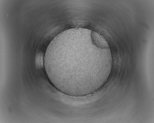 X0000111450042200907271240