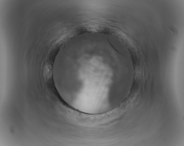 X0000111450043200907271240