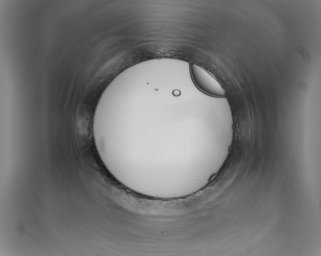 X0000111450044200907271240