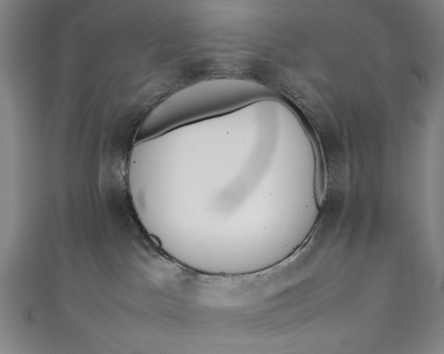 X0000111450045200907271240