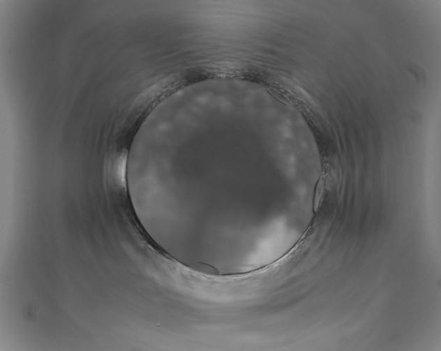 X0000111450047200907271240