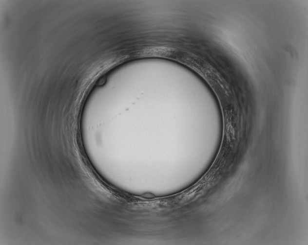 X0000111450049200907271239
