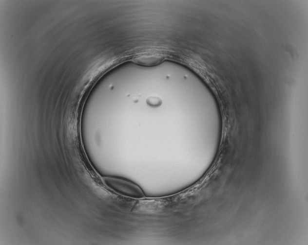 X0000111450050200907271239