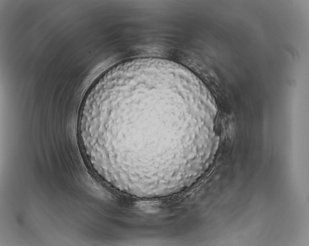 X0000111450051200907271239