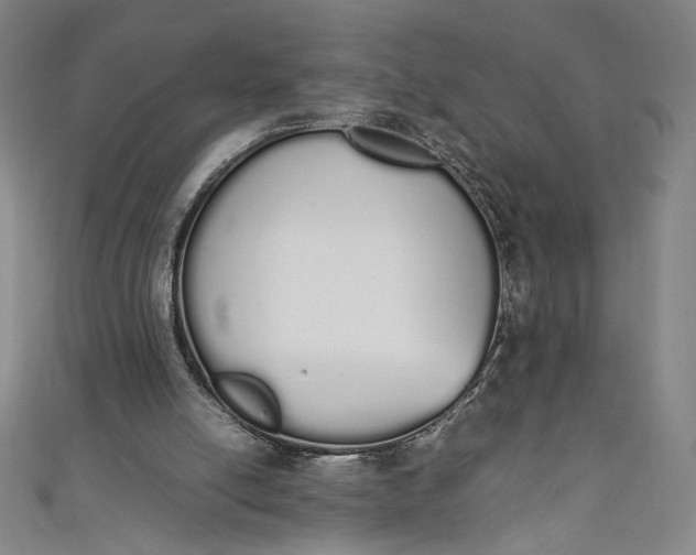 X0000111450054200907271239