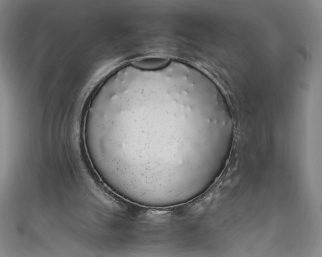 X0000111450055200907271239