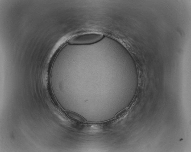 X0000111450056200907271239