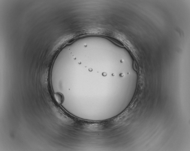 X0000111450058200907271239