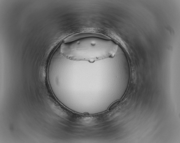 X0000111450059200907271239