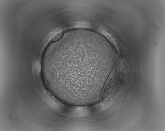 X0000111450060200907271239