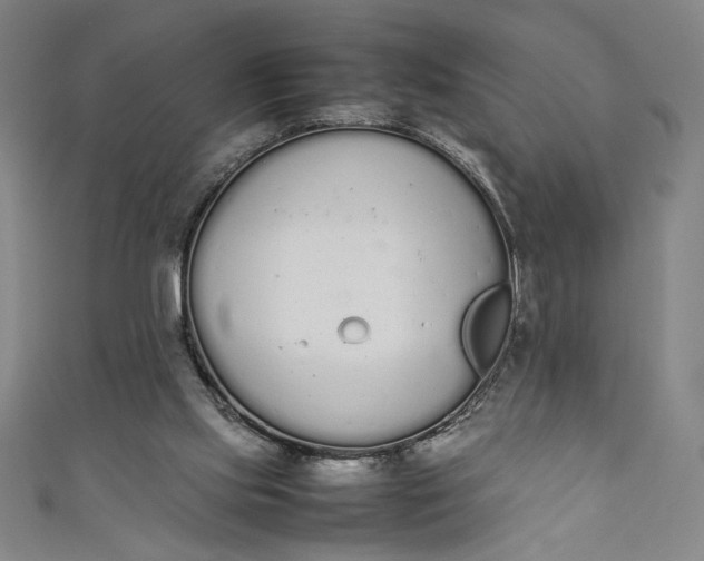 X0000111450061200907271239