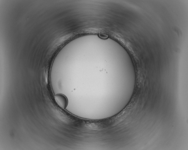 X0000111450062200907271239