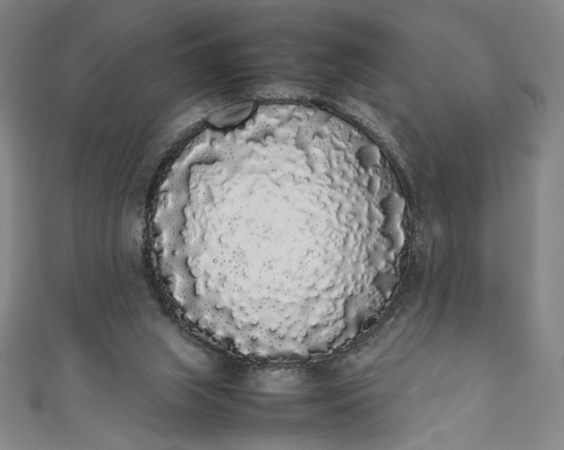 X0000111450063200907271239