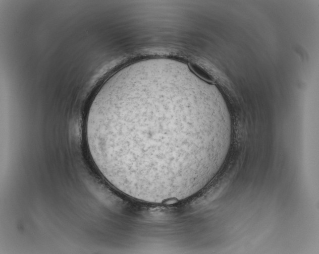 X0000111450064200907271239