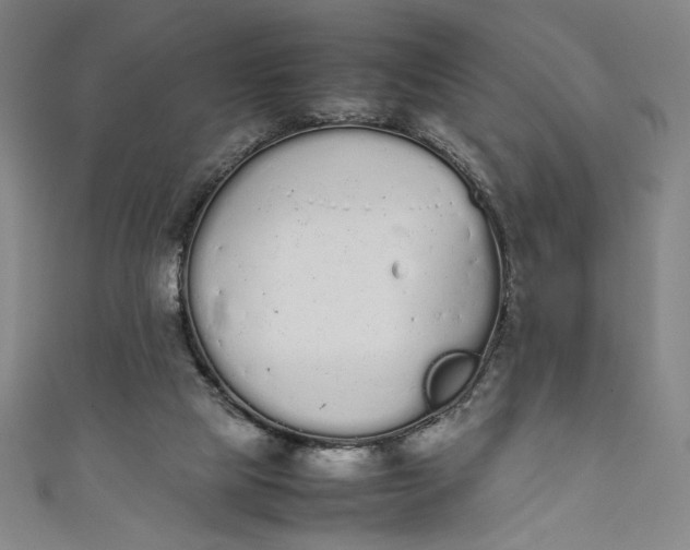 X0000111450065200907271239
