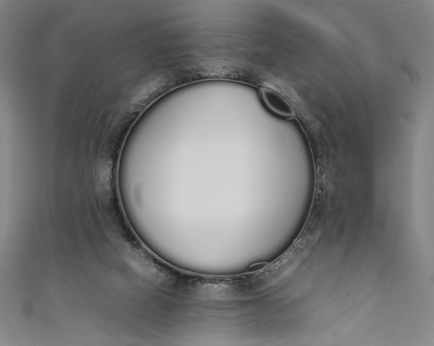 X0000111450066200907271239