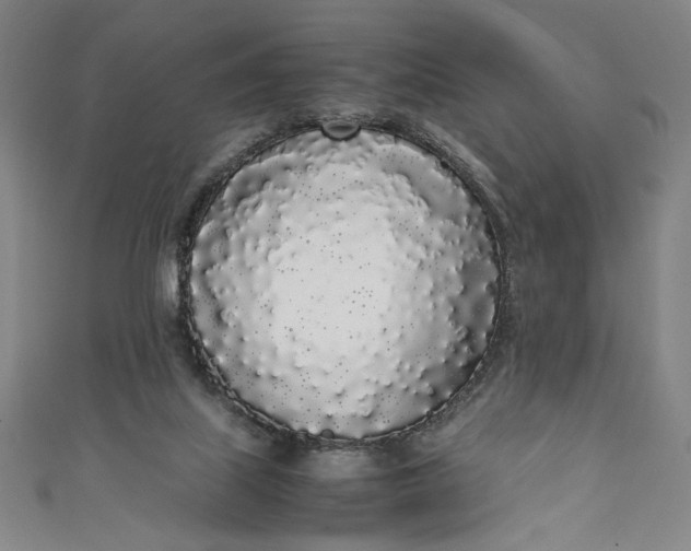 X0000111450067200907271239