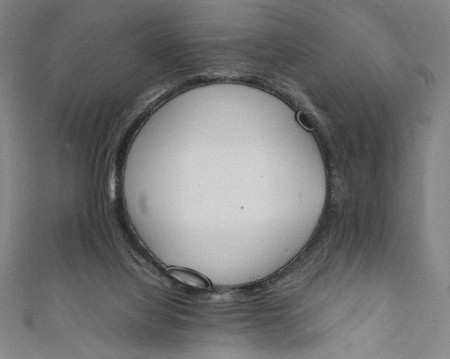 X0000111450068200907271239