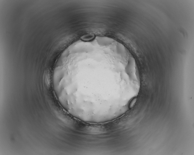 X0000111450069200907271239