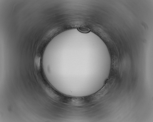 X0000111450070200907271239
