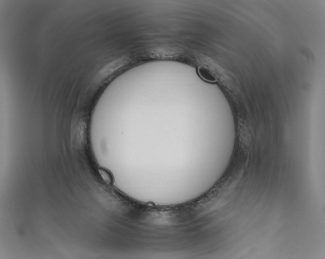 X0000111450071200907271239