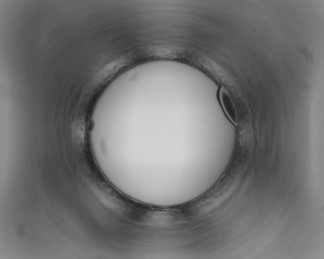 X0000111450072200907271239