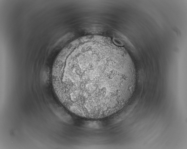 X0000111450073200907271239