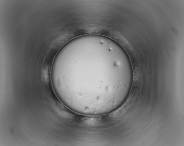 X0000111450074200907271239