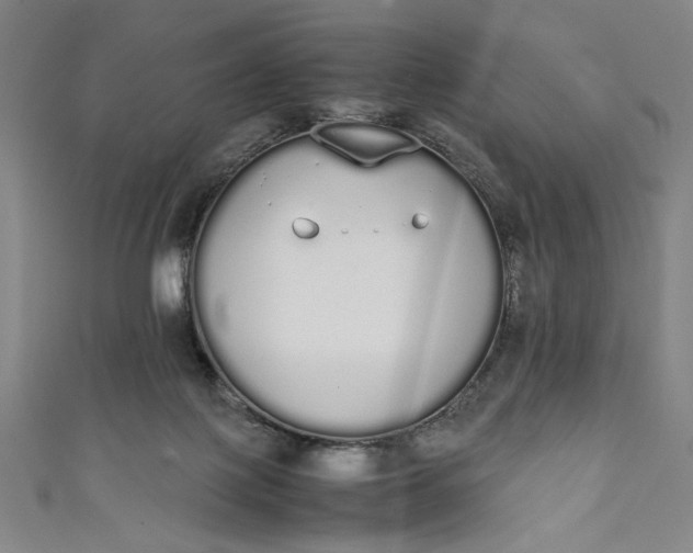 X0000111450075200907271239