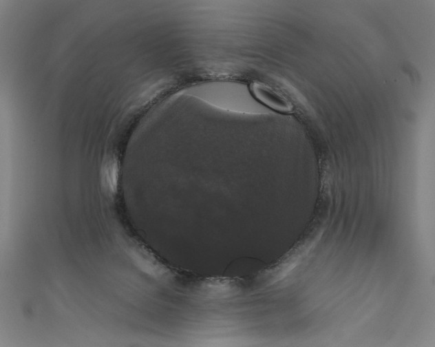 X0000111450076200907271239