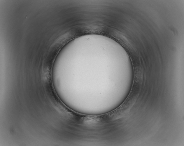 X0000111450077200907271239
