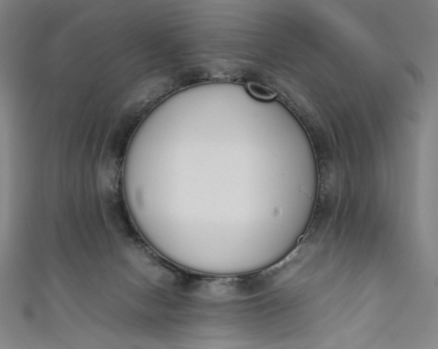 X0000111450078200907271239