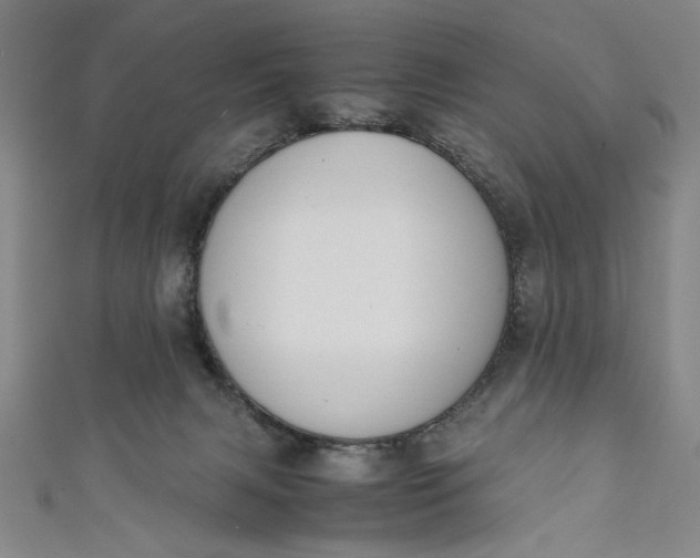 X0000111450079200907271239