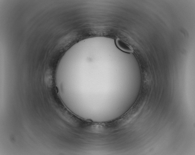 X0000111450080200907271239