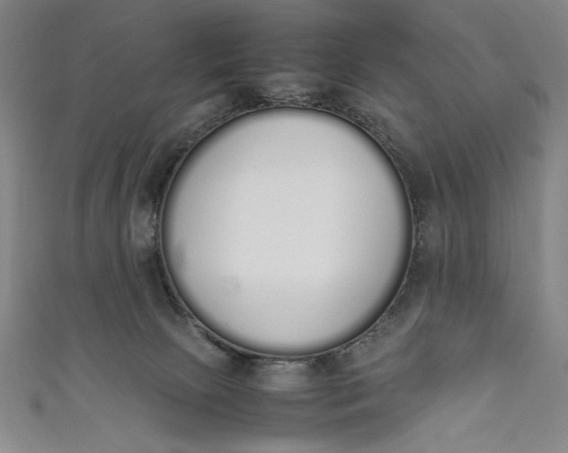 X0000111450081200907271239