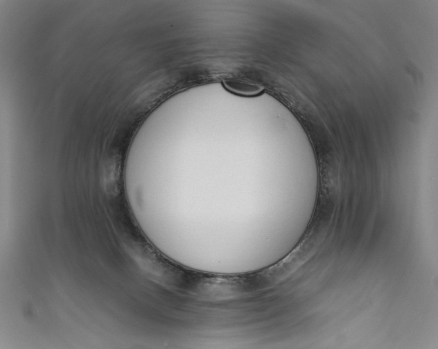 X0000111450082200907271239