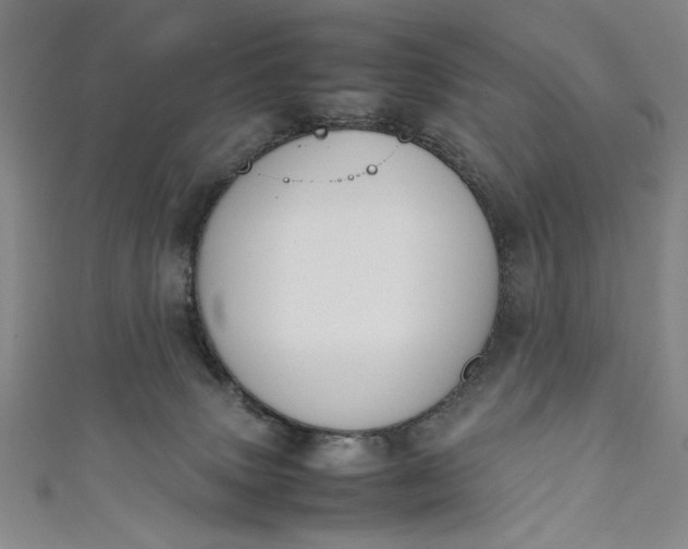 X0000111450083200907271239