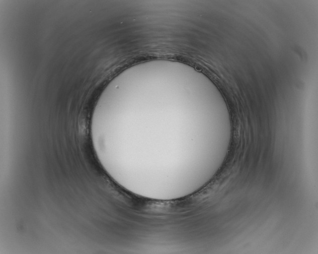 X0000111450084200907271239